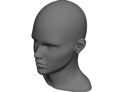 neck stl meaning|Head and Neck STL File 3D Model Converted from a CT Scan .